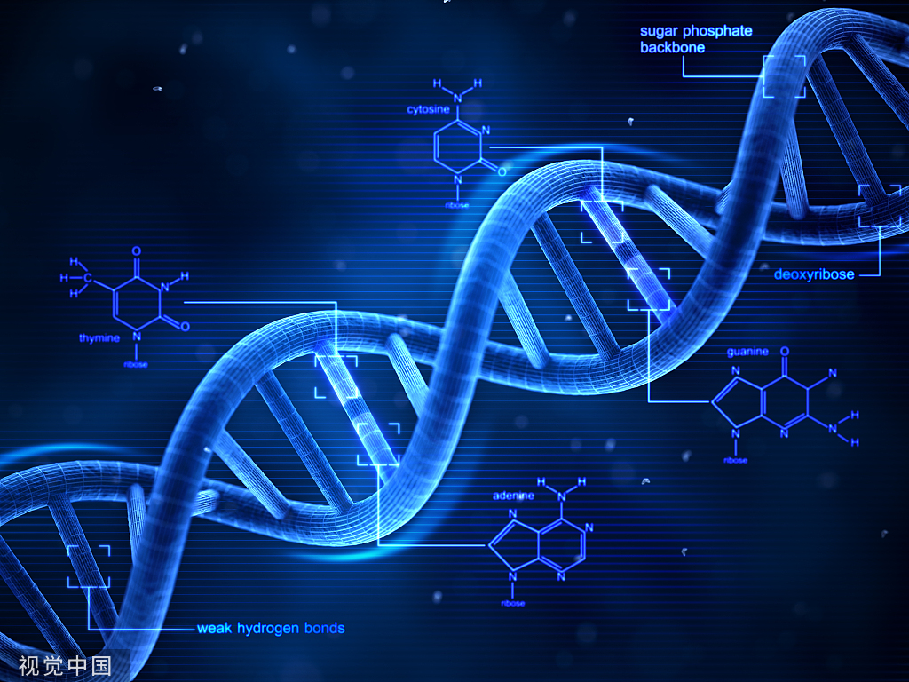 预防出生缺陷 科学健康孕育| 低深度全基因组测序（CNV-seq）可作为一线产前诊断技术