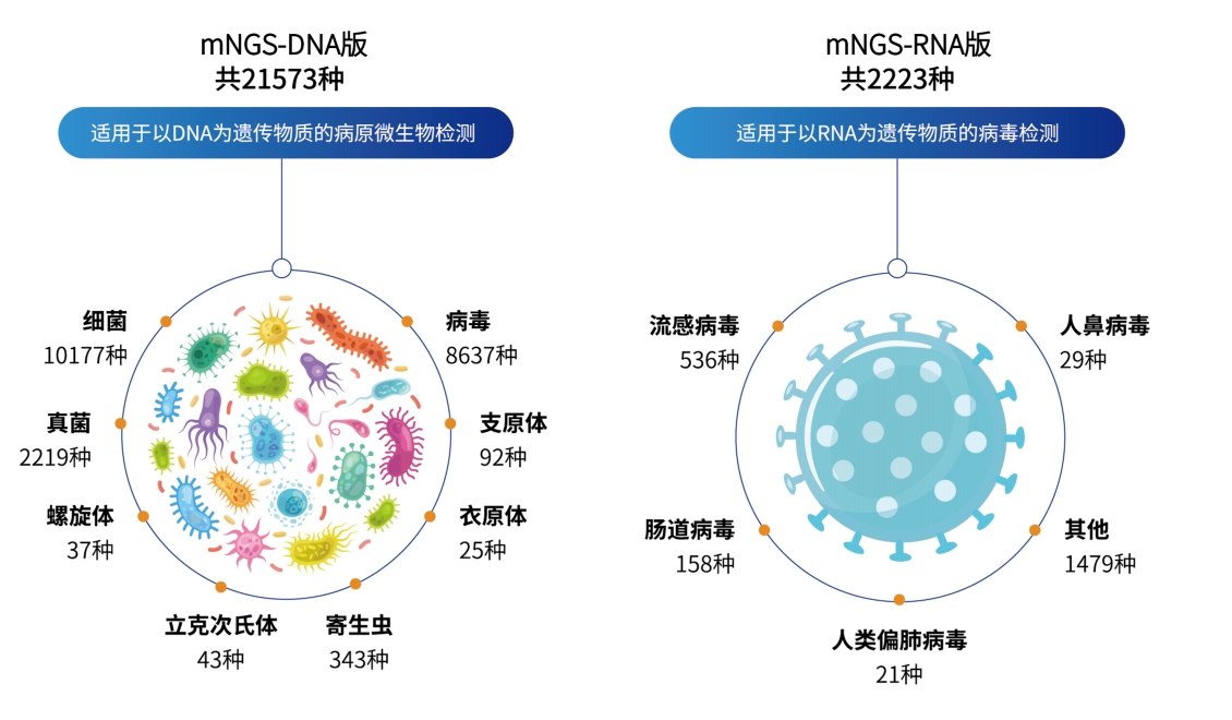 mNGS病原微生物宏基因组检测- 广州精微医学科技有限公司